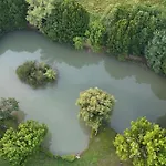 Bambou - Mas Du Ponteil Sergeac