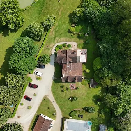 Bambou - Mas Du Ponteil * Sergeac