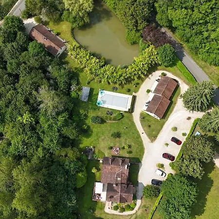 Bambou - Mas Du Ponteil *