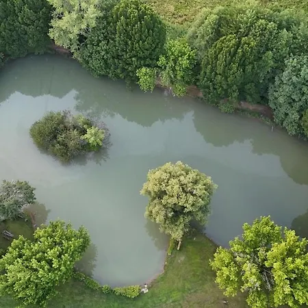 Bambou - Mas Du Ponteil Sergeac