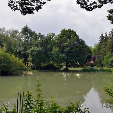 Bambou - Mas Du Ponteil *