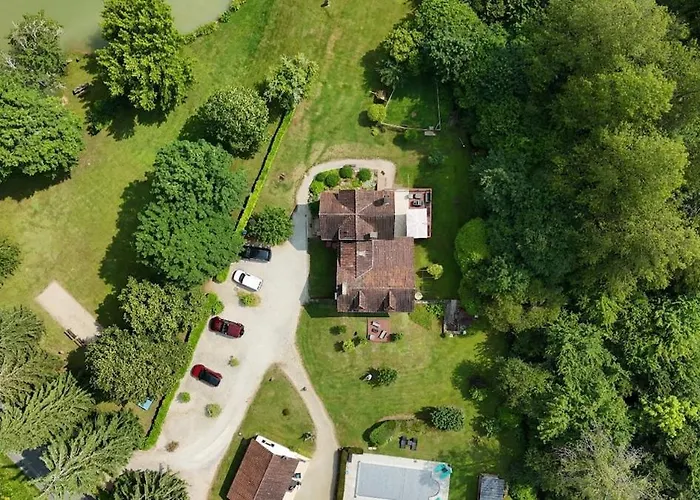 Bambou - Mas Du Ponteil * Sergeac