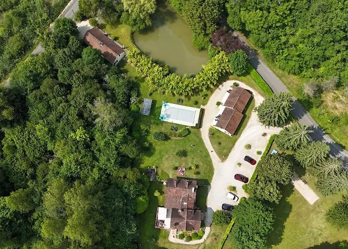 Bambou - Mas Du Ponteil *