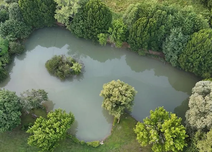 Bambou - Mas Du Ponteil Sergeac