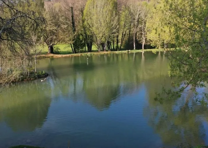 Bambou - Mas Du Ponteil *