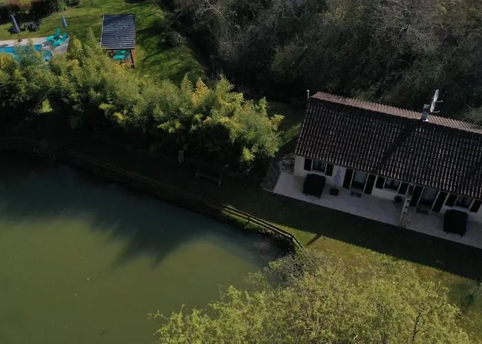 Bambou - Mas Du Ponteil *