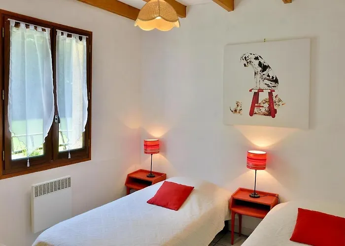 Bambou - Mas Du Ponteil