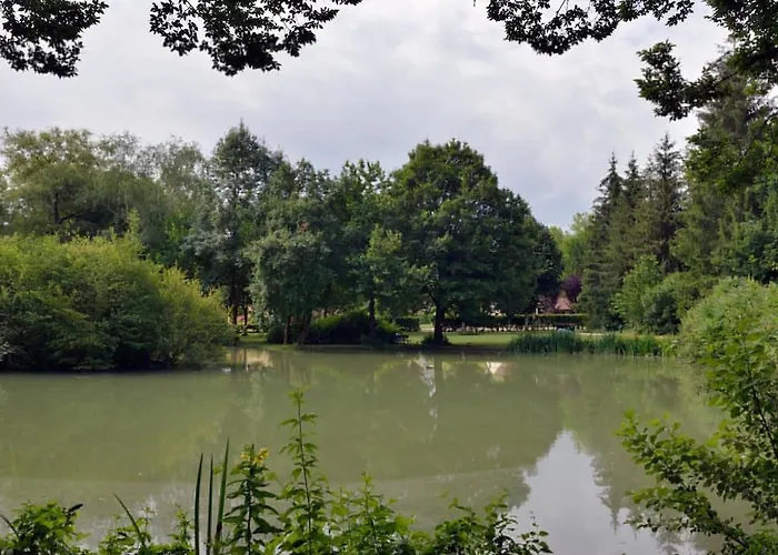 Bambou - Mas Du Ponteil *