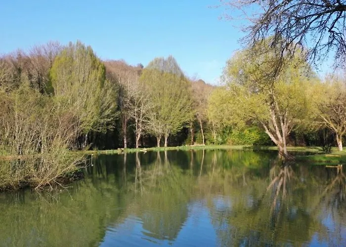 Bambou - Mas Du Ponteil * Sergeac